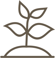 Planter In Lily Pond